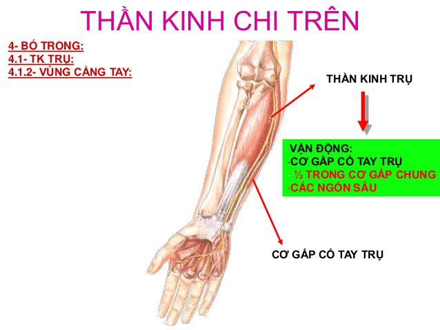 /uploads/1721973057-ton-thuong-than-kinh-tru.jpg